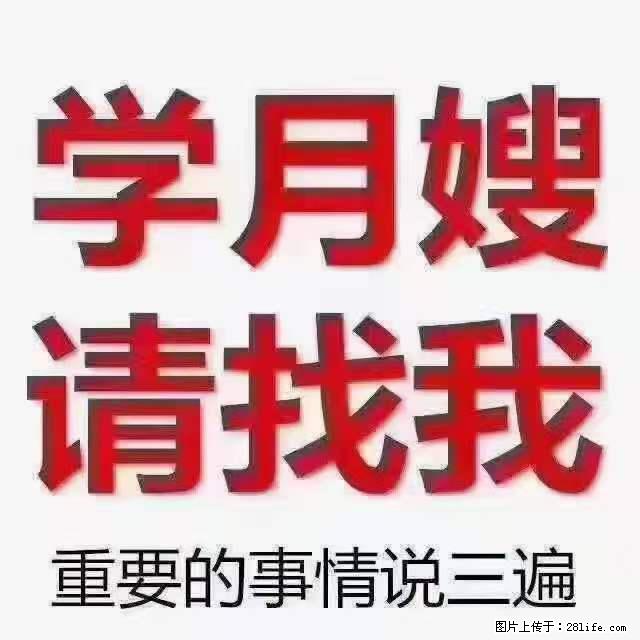 为什么要学习月嫂，育婴师？ - 其他广告 - 广告专区 - 承德分类信息 - 承德28生活网 chengde.28life.net