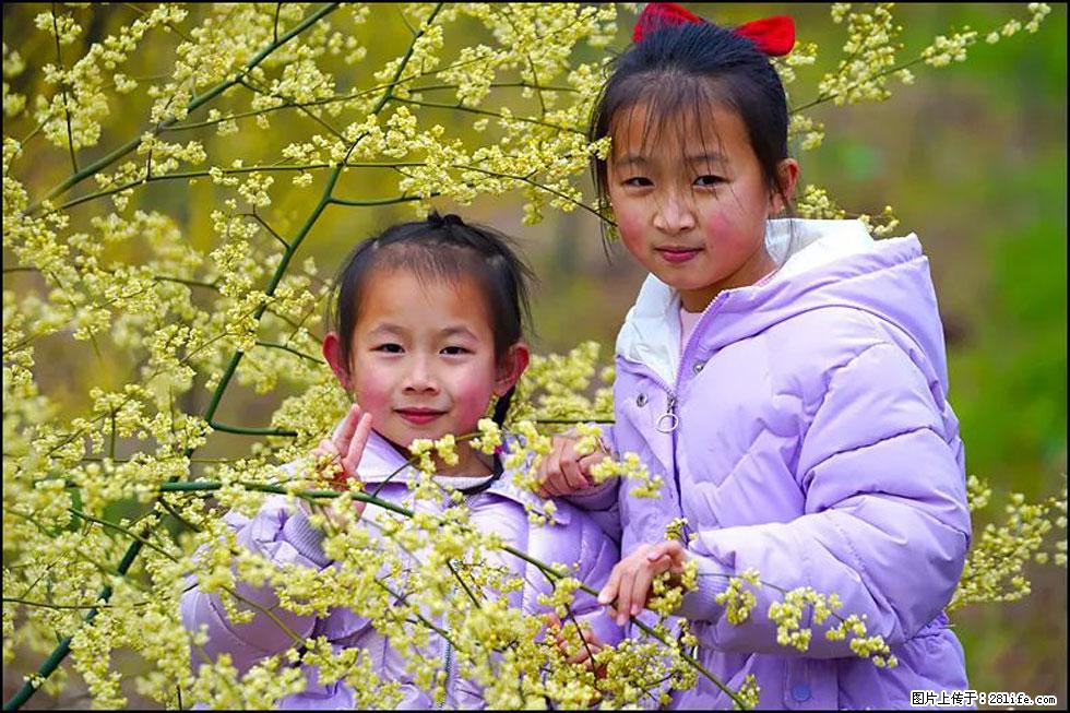 【春天，广西桂林灌阳县向您发出邀请！】米珠山前有片山苍子花在飘香 - 游山玩水 - 承德生活社区 - 承德28生活网 chengde.28life.net
