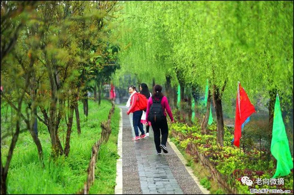 【春天，广西桂林灌阳县向您发出邀请！】江口老街又逢春 - 游山玩水 - 承德生活社区 - 承德28生活网 chengde.28life.net