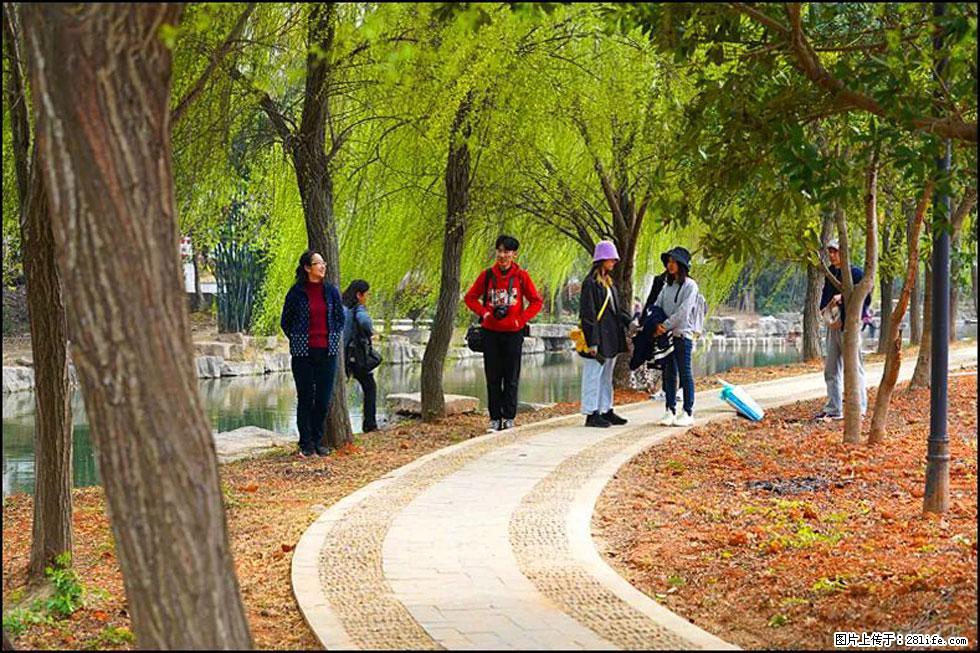 【春天，广西桂林灌阳县向您发出邀请！】江口老街又逢春 - 游山玩水 - 承德生活社区 - 承德28生活网 chengde.28life.net