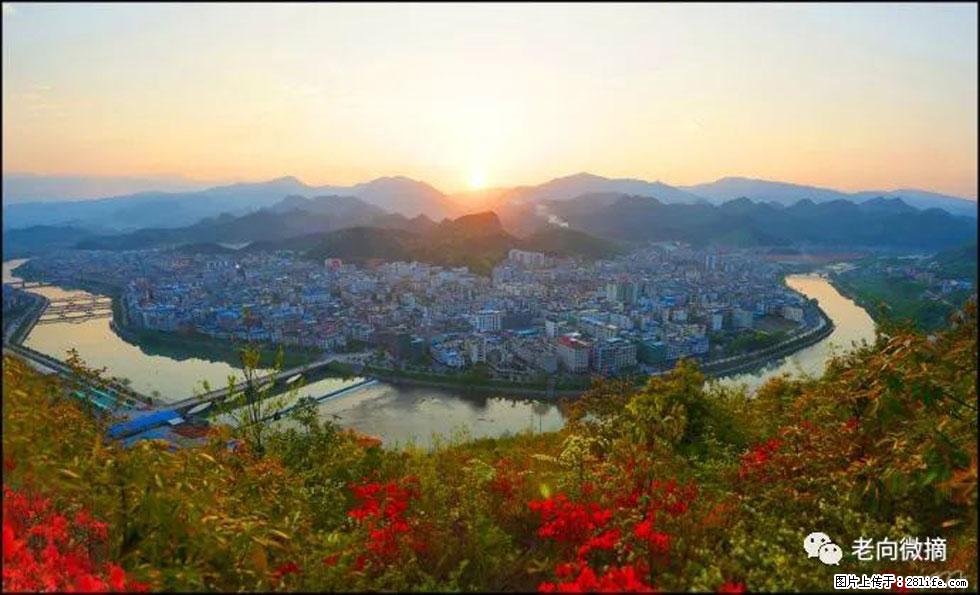 【春天，广西桂林灌阳县向您发出邀请！】登麒麟山，相约映山红 - 游山玩水 - 承德生活社区 - 承德28生活网 chengde.28life.net