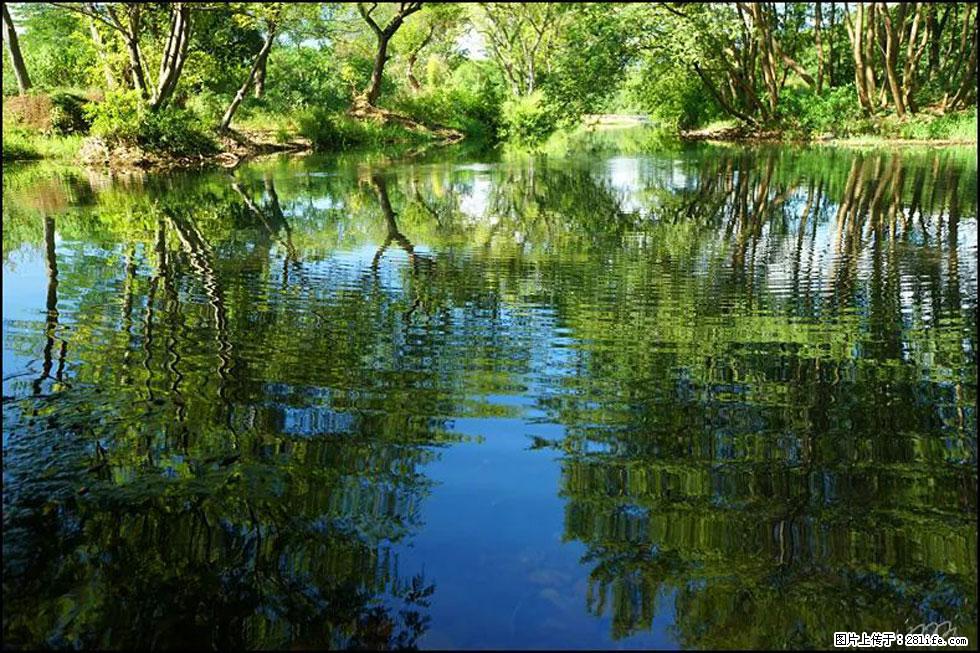 【春天，广西桂林灌阳县向您发出邀请！】熊家寨湿地公园 - 游山玩水 - 承德生活社区 - 承德28生活网 chengde.28life.net