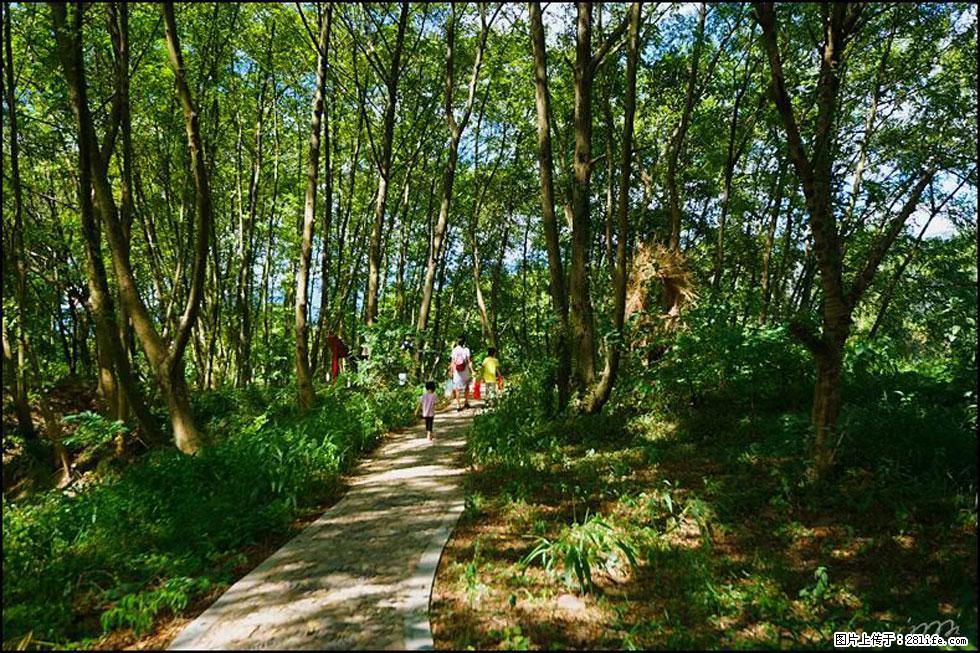 【春天，广西桂林灌阳县向您发出邀请！】熊家寨湿地公园 - 游山玩水 - 承德生活社区 - 承德28生活网 chengde.28life.net