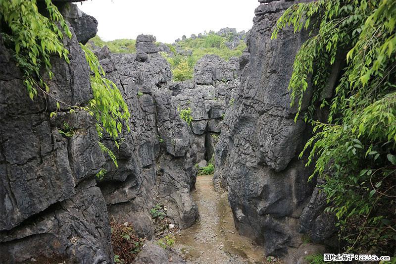 桂林旅游名城景点：灌阳文市石林 - 游山玩水 - 承德生活社区 - 承德28生活网 chengde.28life.net