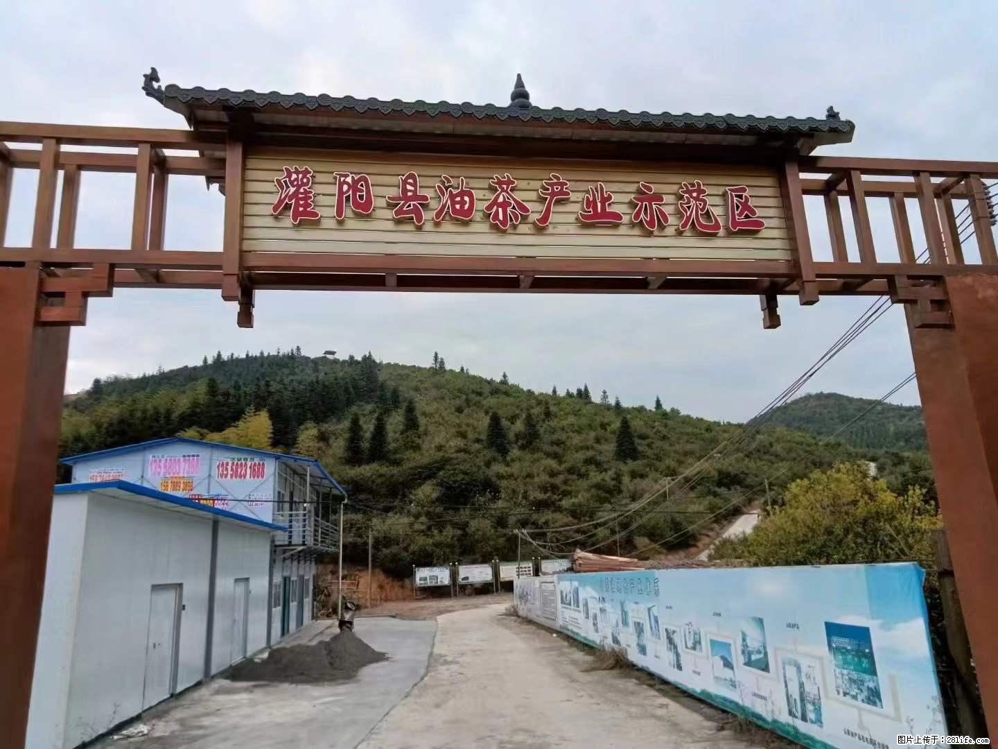 【灌阳县油茶产业示范区】一个有着充实的精神生活的人，对待身外之物自会有一种淡泊的态度 - 美食天地 - 承德生活社区 - 承德28生活网 chengde.28life.net