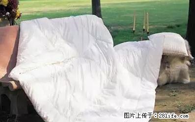 被子有异味？只要这样做，比晒太阳还强100倍！ - 家居生活 - 承德生活社区 - 承德28生活网 chengde.28life.net