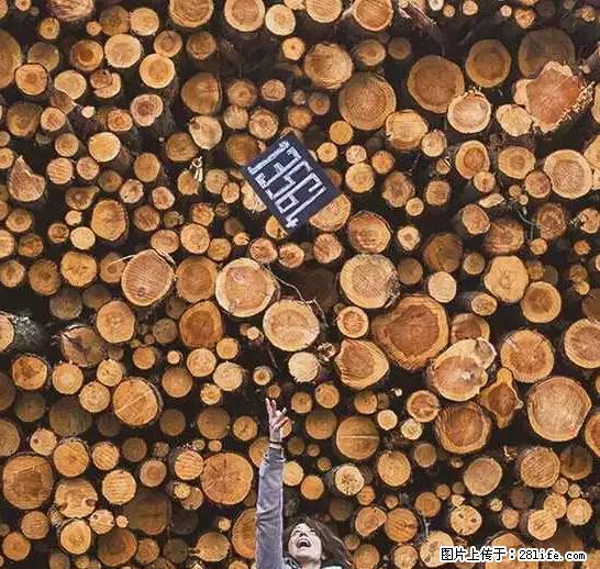辞掉工作周游世界？现在他们在洗厕所…… - 游山玩水 - 承德生活社区 - 承德28生活网 chengde.28life.net