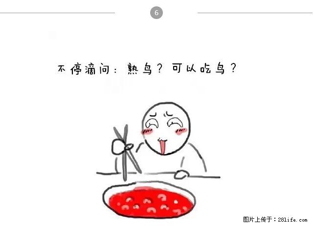 千万不要和这9种哈卵一起吃火锅！ - 美食天地 - 承德生活社区 - 承德28生活网 chengde.28life.net