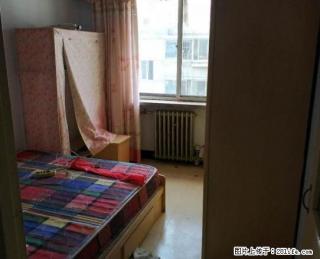 新粮食北山56平米2室1厅家具家电齐全拎包入住位置好采光好 - 承德28生活网 chengde.28life.net