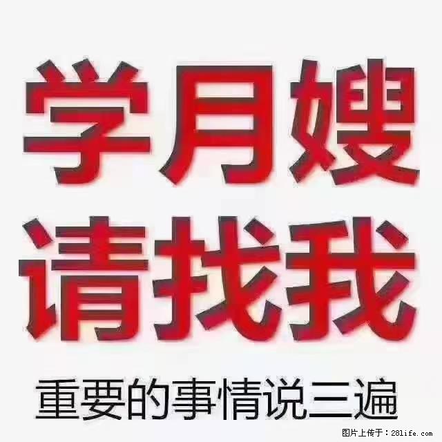 【招聘】月嫂，上海徐汇区 - 职场交流 - 承德生活社区 - 承德28生活网 chengde.28life.net