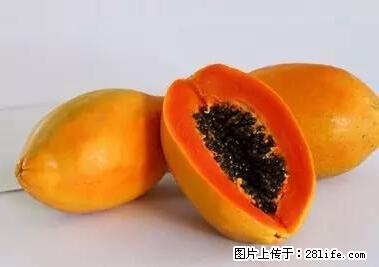 晕车、脚气、牙齿变黄、皮肤粗糙？学会这些三分钟搞定！ - 承德生活资讯 - 承德28生活网 chengde.28life.net