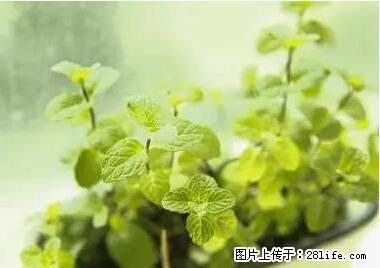 晕车、脚气、牙齿变黄、皮肤粗糙？学会这些三分钟搞定！ - 承德生活资讯 - 承德28生活网 chengde.28life.net