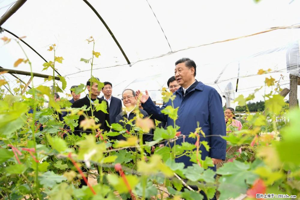 习近平赴广西考察调研 - 承德生活资讯 - 承德28生活网 chengde.28life.net