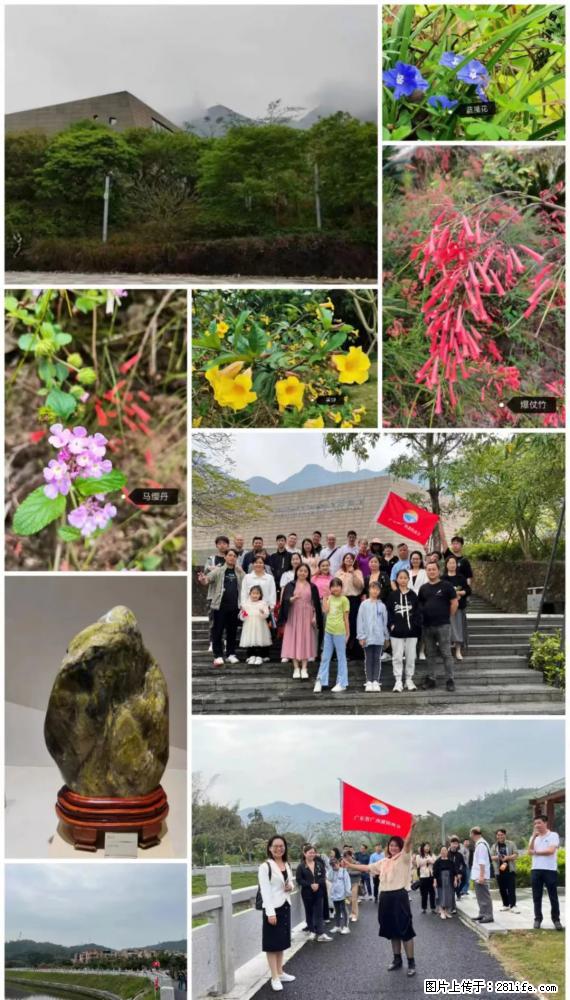 “粤灌文化 美好生活”油茶文化主题活动在广东深圳成功举办 - 承德生活资讯 - 承德28生活网 chengde.28life.net