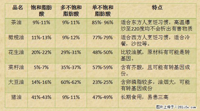 揭秘茶油的5大核心营养成分！被称为人体健康的“守护盾”！ - 承德生活资讯 - 承德28生活网 chengde.28life.net