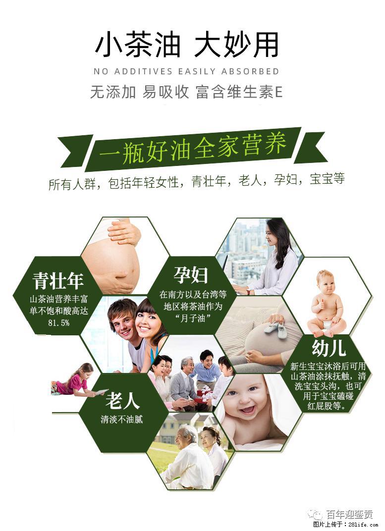 世界没有真相，只有认知，最好的食用油是中国的山茶油！ - 承德生活资讯 - 承德28生活网 chengde.28life.net
