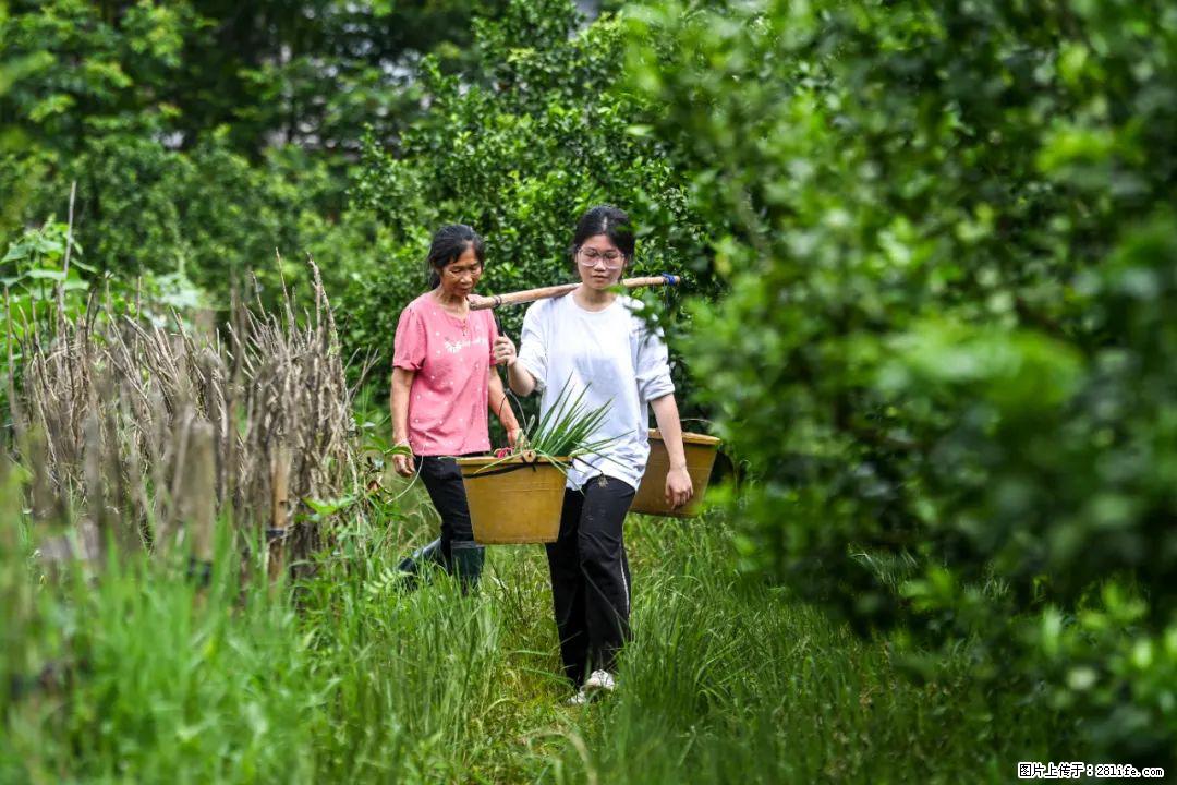 全网追的“扁担女孩”，找了一份暑假工，时薪12元 - 承德生活资讯 - 承德28生活网 chengde.28life.net