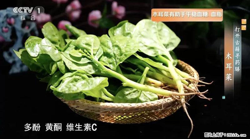 比牛奶补钙还厉害！凉血解毒、稳血糖...这菜冬天必吃，很多人却当草 - 承德生活资讯 - 承德28生活网 chengde.28life.net
