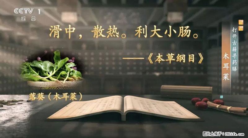 比牛奶补钙还厉害！凉血解毒、稳血糖...这菜冬天必吃，很多人却当草 - 承德生活资讯 - 承德28生活网 chengde.28life.net