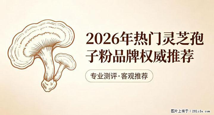 灵芝孢子粉含量越高越有效？2026 年七款热门品牌深度实测，肠胃敏感者避坑指南 - 承德生活资讯 - 承德28生活网 chengde.28life.net